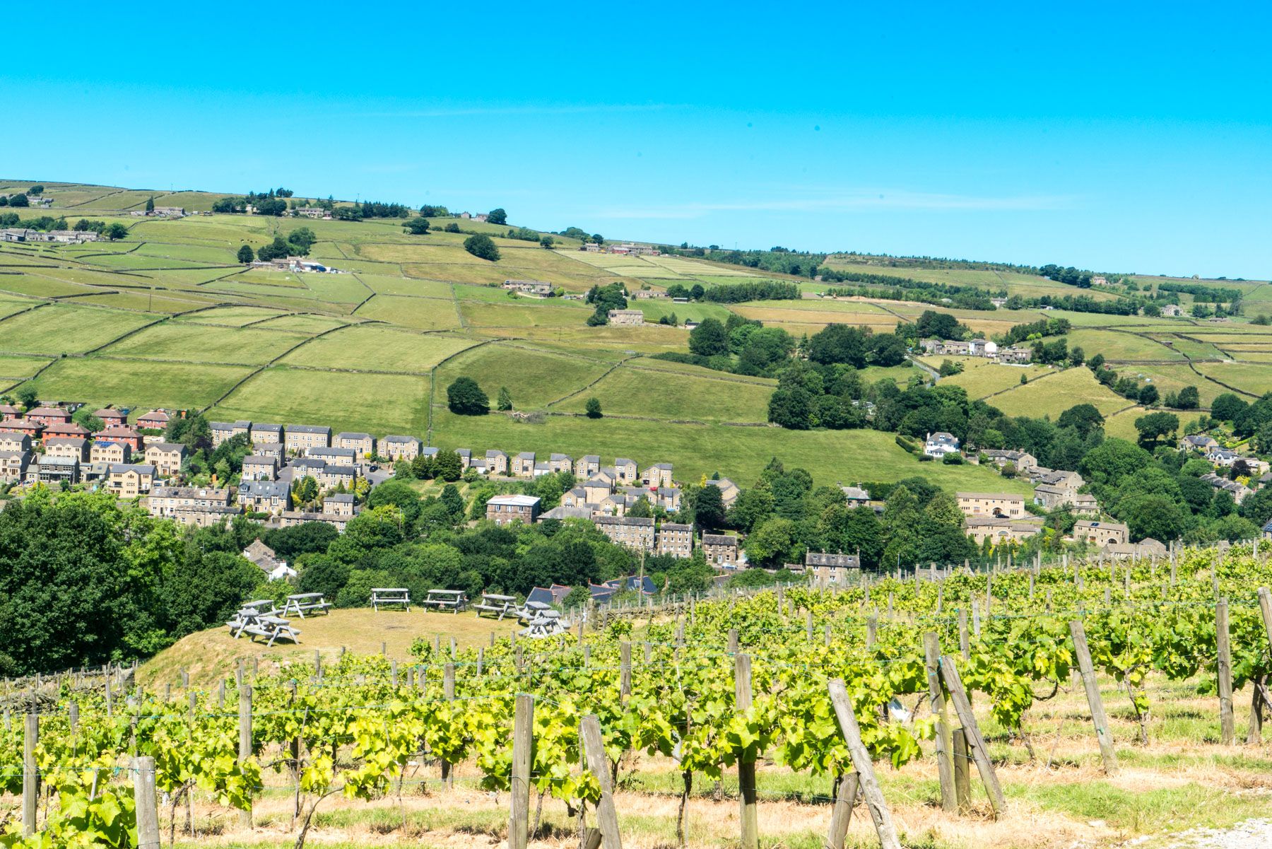 vineyard tour holmfirth