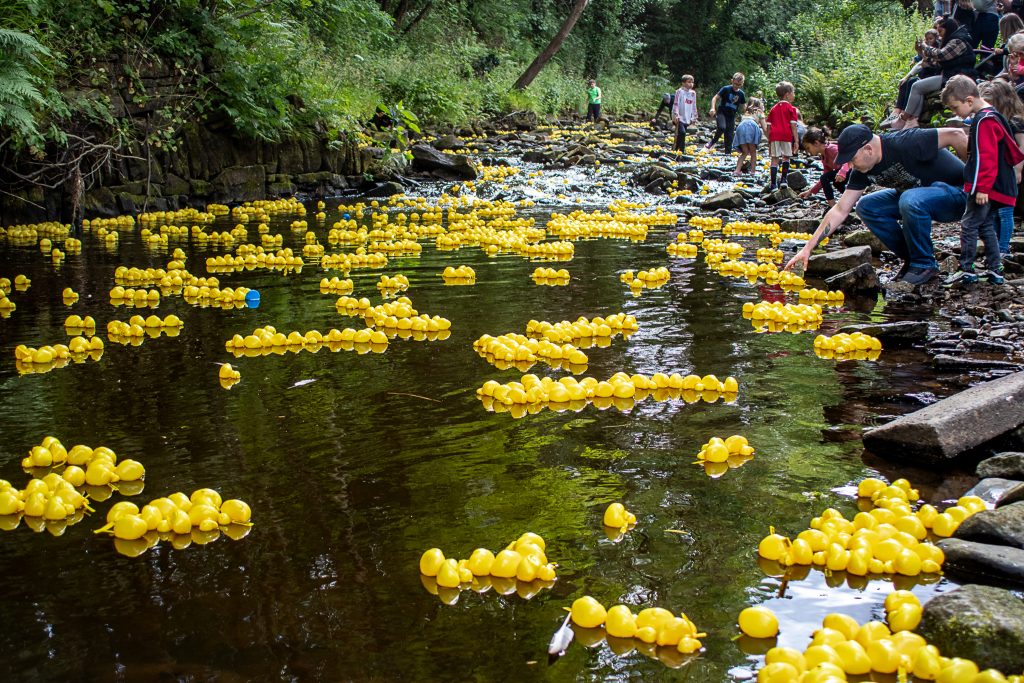 Holmfirth Duck Race 2022 Winners.... at Holmfirth Info