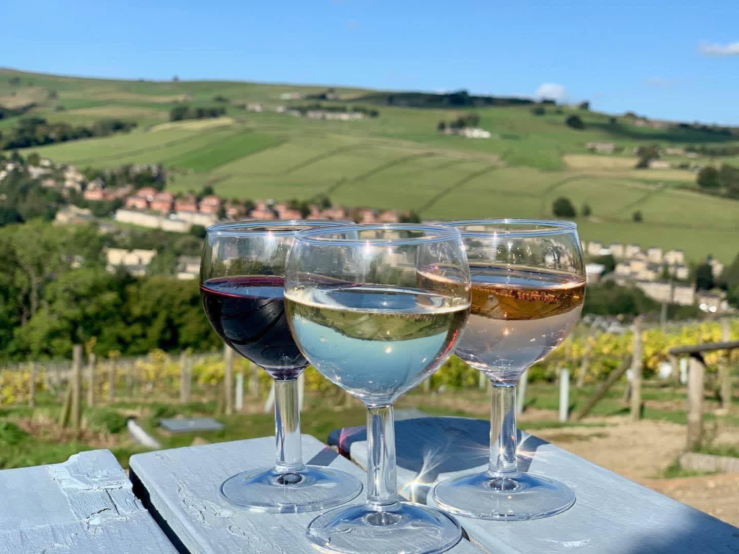 Holmfirth Vineyard Tour and Wine Tasting