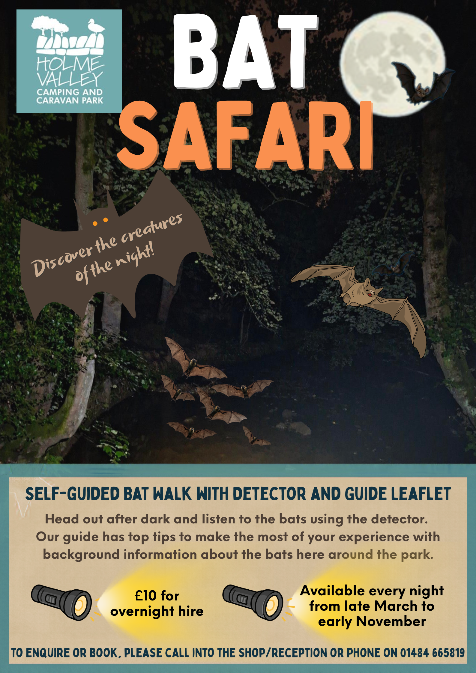 Bat Safari at Holme Valley Camping & Caravan Park!